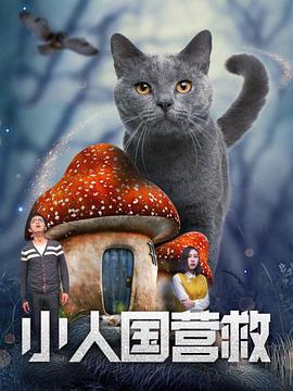 字幕全集免费观看