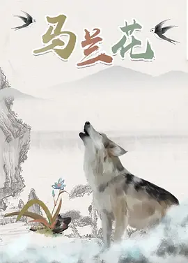 完结高清影视
